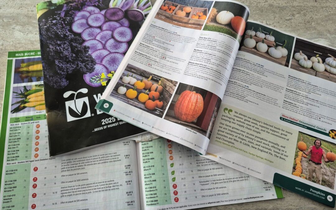 Comment planifier une saison maraîchère réussie