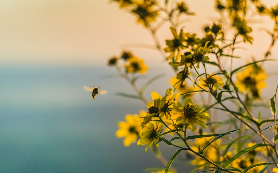 Le rôle des animaux et des insectes auxiliaires dans la protection des cultures