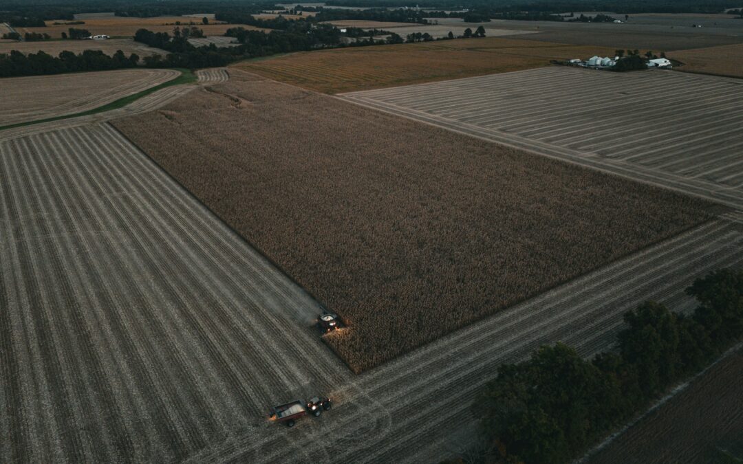 Gérer la rotation des cultures pour maximiser la productivité