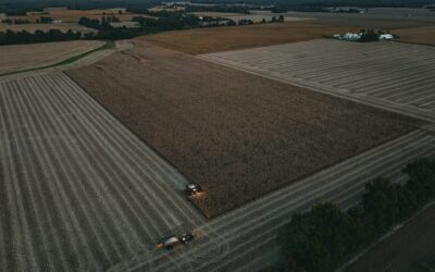 Gérer la rotation des cultures pour maximiser la productivité
